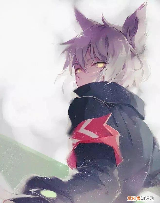 《凹凸世界》你来到这个世界了吗?