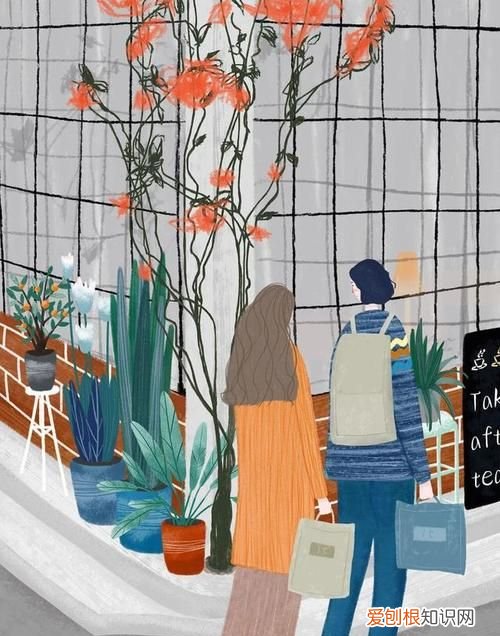 爱情中的南墙代表什么，死心眼的男人是什么样