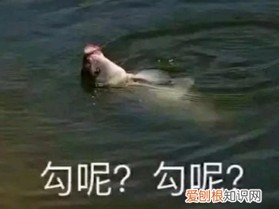 宝藏小众耳机推鉴