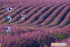 电脑咋得才可以切换窗口，台式电脑怎么快速切换页面