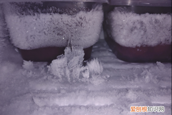冰箱结冰太厚怎么办?只需一招立马脱落