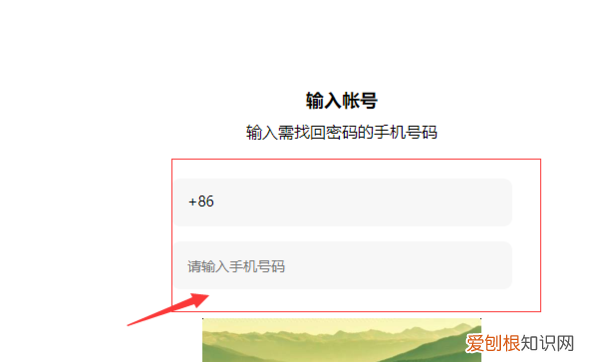 oppo账号密码忘记怎么办