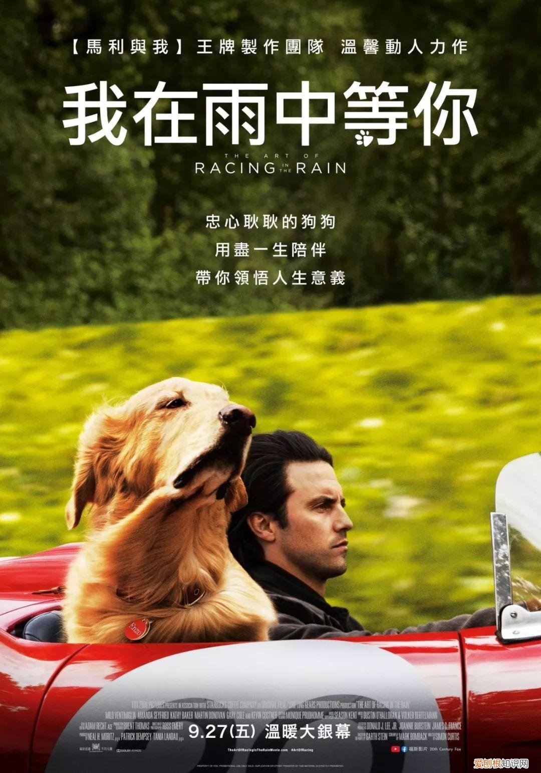 关于狗狗的电影，你看过哪几部？每部都是催人泪下