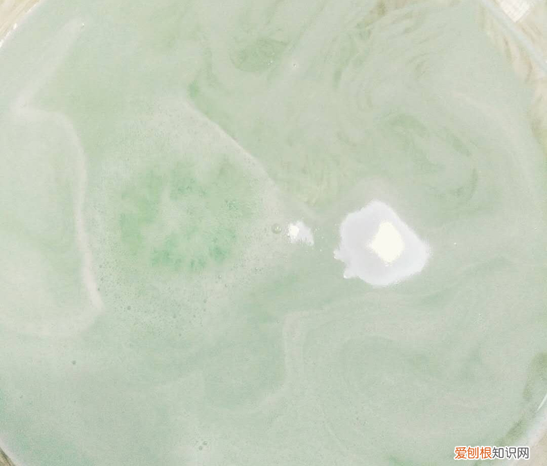 实测假牙清洁片，送父母的暖心好礼