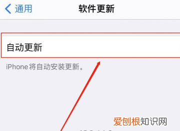 苹果手机App该怎么关闭自动更新