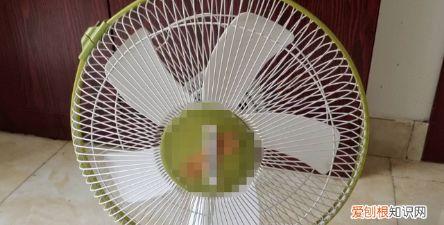 生活小窍门电风扇有灰尘如何清理
