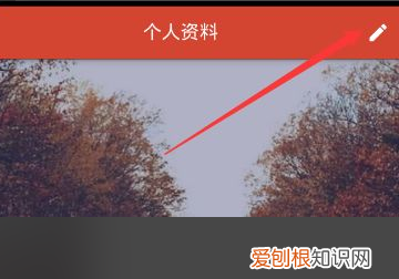 探探闪聊怎么开启，探探每天一次免费闪聊吗男性