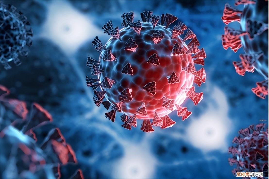 形势严峻！对美外贸订单全面失守