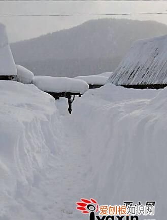 为什么积雪北方化的快，东北地区积雪北方长的原因
