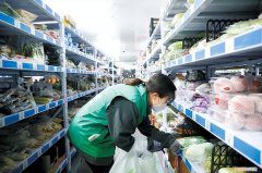 小汤山摘下的鲜菜源源不断送出，鲜菜当天送上您的饭桌