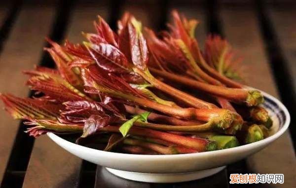 红香椿有什么功效,香椿为什么有红的有绿的