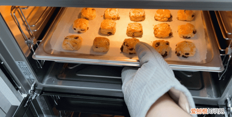 蒸烤箱能代替空气炸锅吗,有蒸烤箱有必要再买空气炸锅吗