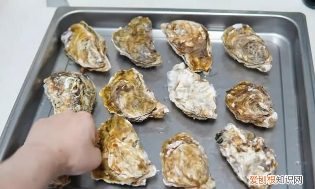 蒸烤箱能代替空气炸锅吗,有蒸烤箱有必要再买空气炸锅吗