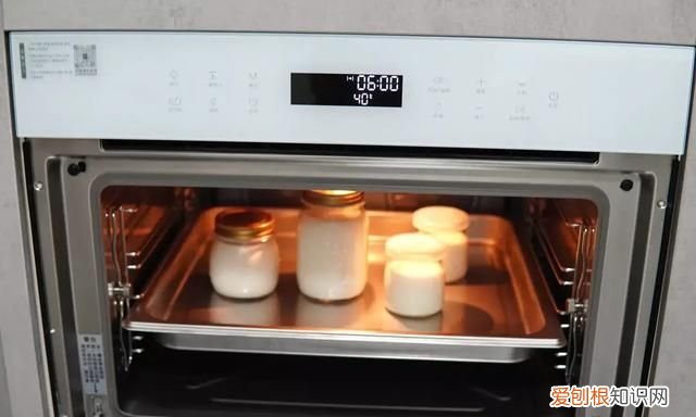 蒸烤箱能代替空气炸锅吗,有蒸烤箱有必要再买空气炸锅吗