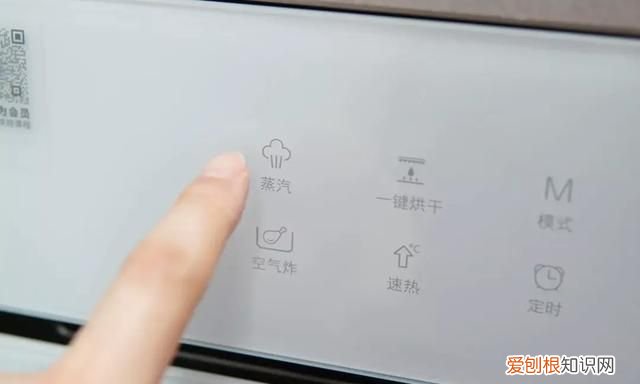 蒸烤箱能代替空气炸锅吗,有蒸烤箱有必要再买空气炸锅吗