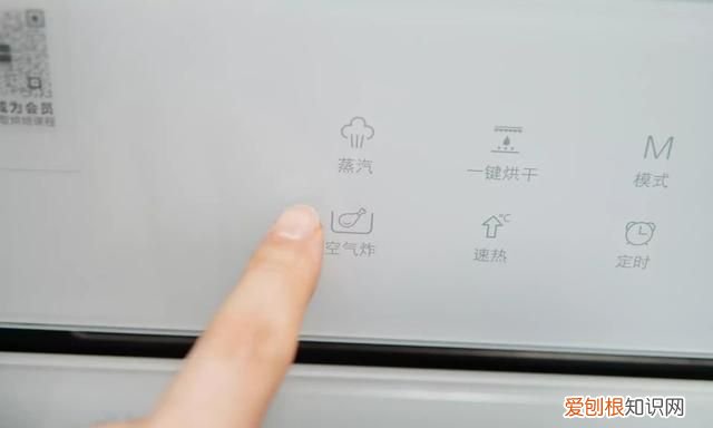 蒸烤箱能代替空气炸锅吗,有蒸烤箱有必要再买空气炸锅吗