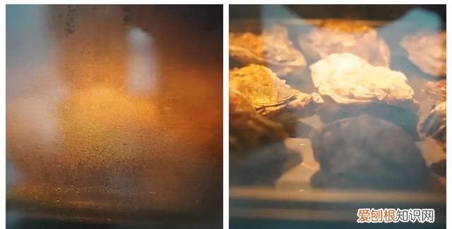 蒸烤箱能代替空气炸锅吗,有蒸烤箱有必要再买空气炸锅吗