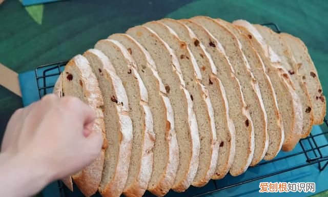 蒸烤箱能代替空气炸锅吗,有蒸烤箱有必要再买空气炸锅吗