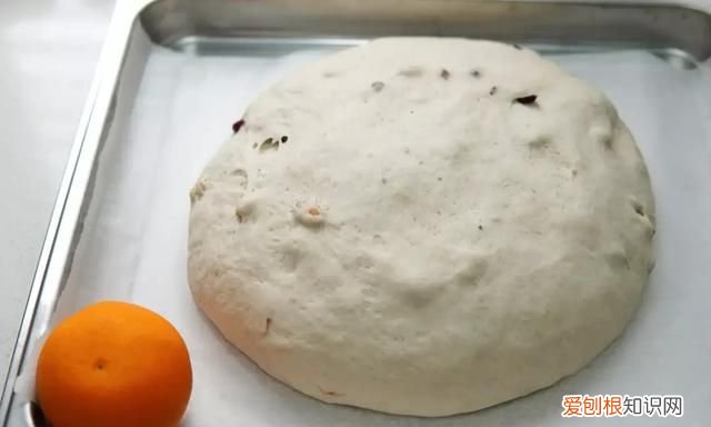 蒸烤箱能代替空气炸锅吗,有蒸烤箱有必要再买空气炸锅吗