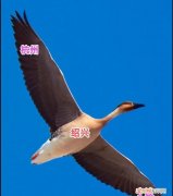绍兴至宁波经过杭州吗,绍兴至杭州快速路