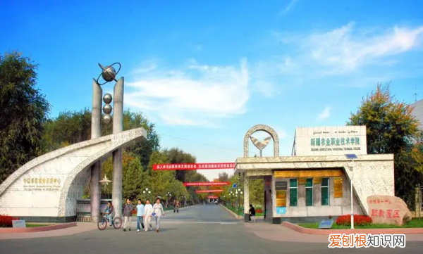 新疆专科学校都有哪些，新疆最好的十大专科学校排名表