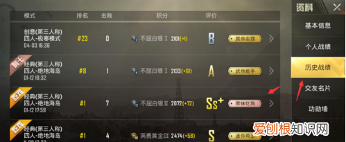 吃鸡游戏怎么看战绩,绝地生怎么用手机app看战绩