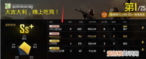 吃鸡游戏怎么看战绩,绝地生怎么用手机app看战绩