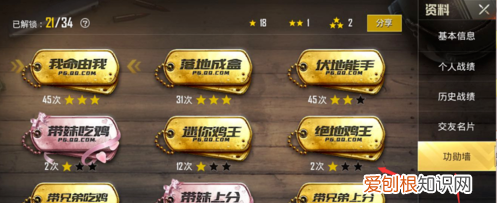 吃鸡游戏怎么看战绩,绝地生怎么用手机app看战绩