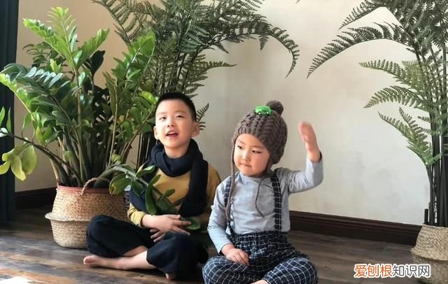 于震和辛月生了几个孩子,演员于震和辛月有几个孩子