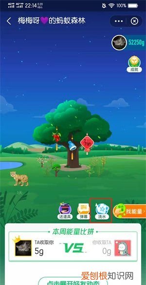 蚂蚁森林咋浇水，蚂蚁森林怎么浇水1000