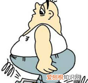 胖师傅是什么短语,胖三斤表情什么意思