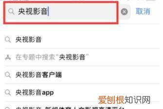 苹果手机怎么看电视台直播节目，苹果手机平板教你怎么看电视直播