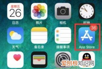 苹果手机怎么看电视台直播节目，苹果手机平板教你怎么看电视直播