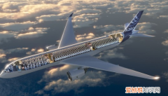 为什么小鸟在天空飞翔，为什么飞机不像鸟儿一样展翅飞行