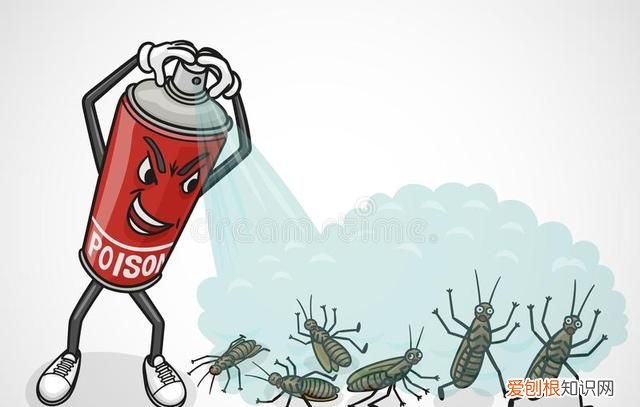 一只被摘掉头的蟑螂可以存活9天
