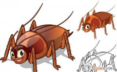 一只被摘掉头的蟑螂可以存活9天