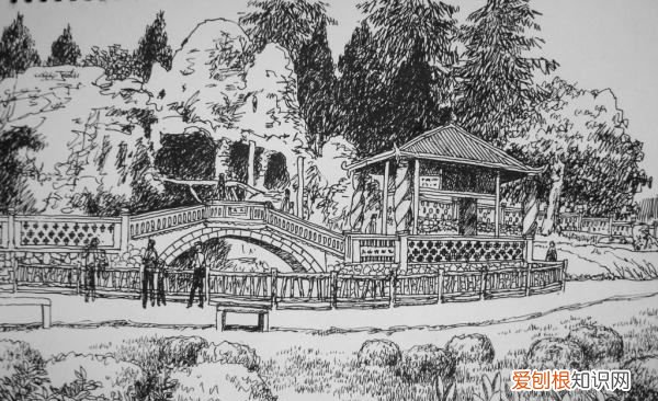 花园怎么画难度,美丽的花园怎么画