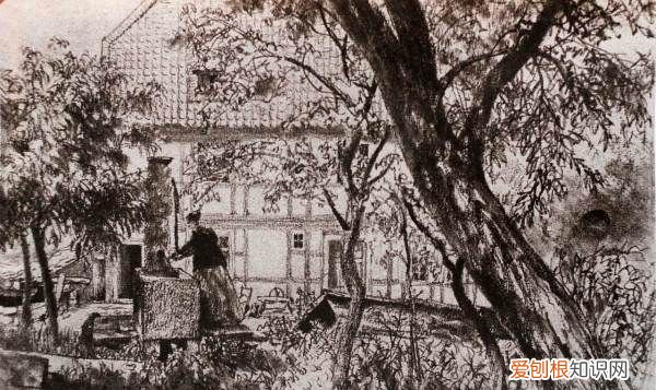 花园怎么画难度,美丽的花园怎么画