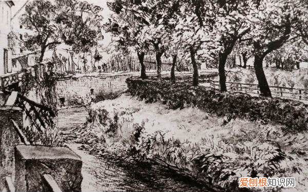 花园怎么画难度,美丽的花园怎么画