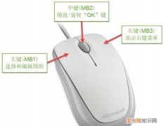 鼠标左侧的两个按钮是干什么用的