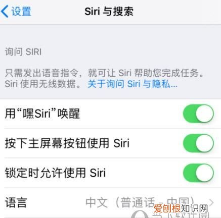 苹果11嘿siri怎么喊不出来，苹果siri别人可以叫出来吗