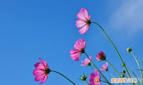 上课迟到该怎么办，上课迟到怎么办解决的办法