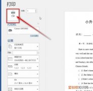 文档怎么打印到一张a4纸，怎么将表格打印一张A4纸上