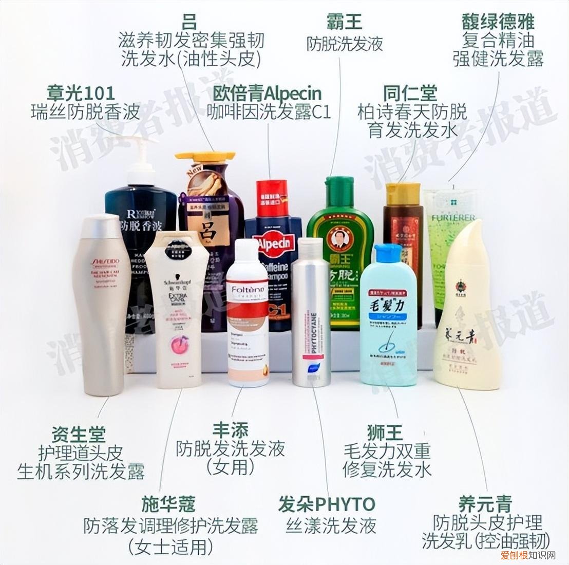 掉头发用什么洗发水比较好