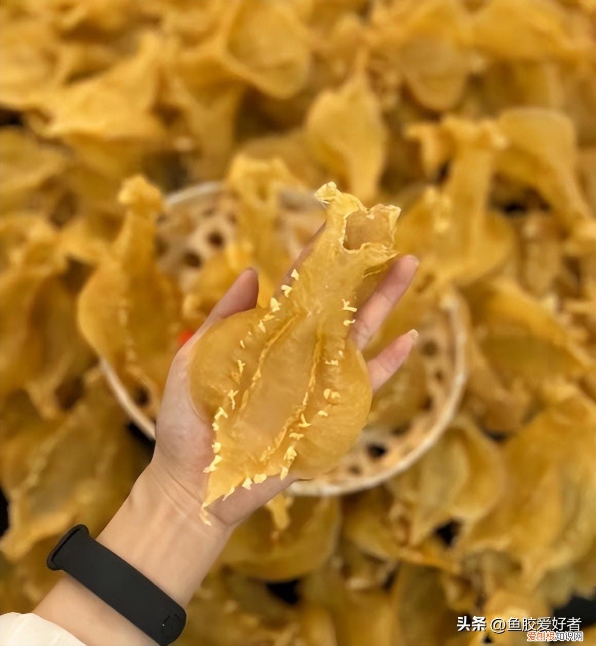 孕妇能吃鱼胶吗?什么时候吃最好