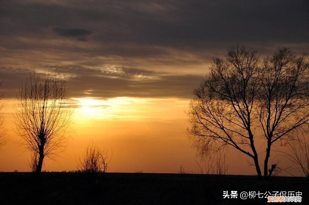 若不是你突然闯进我的生活