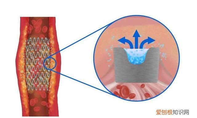 贺建奎哪年出生,潘多拉魔盒会不会毁灭人类呢
