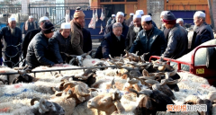 古尔邦节是几月几日，2023年的库尔邦节是什么时候