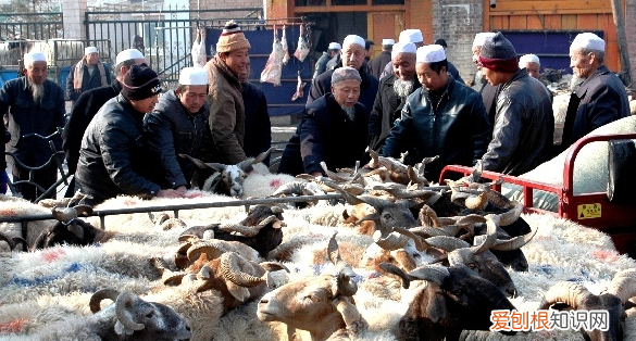 古尔邦节是几月几日，2023年的库尔邦节是什么时候