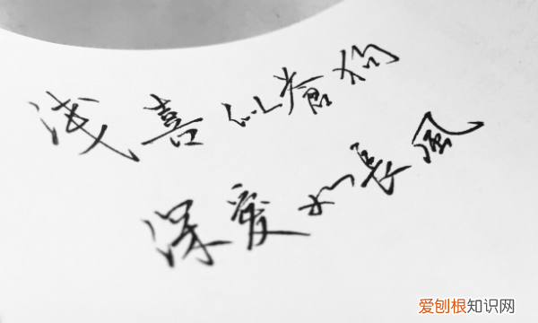 浅喜似苍狗深爱如长风下一句